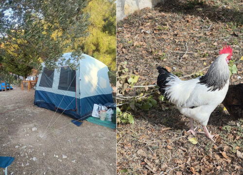 Urla Çadır Kampı Deneyimlerinizi Geliştirmek İçin Bilmeniz Gerekenler