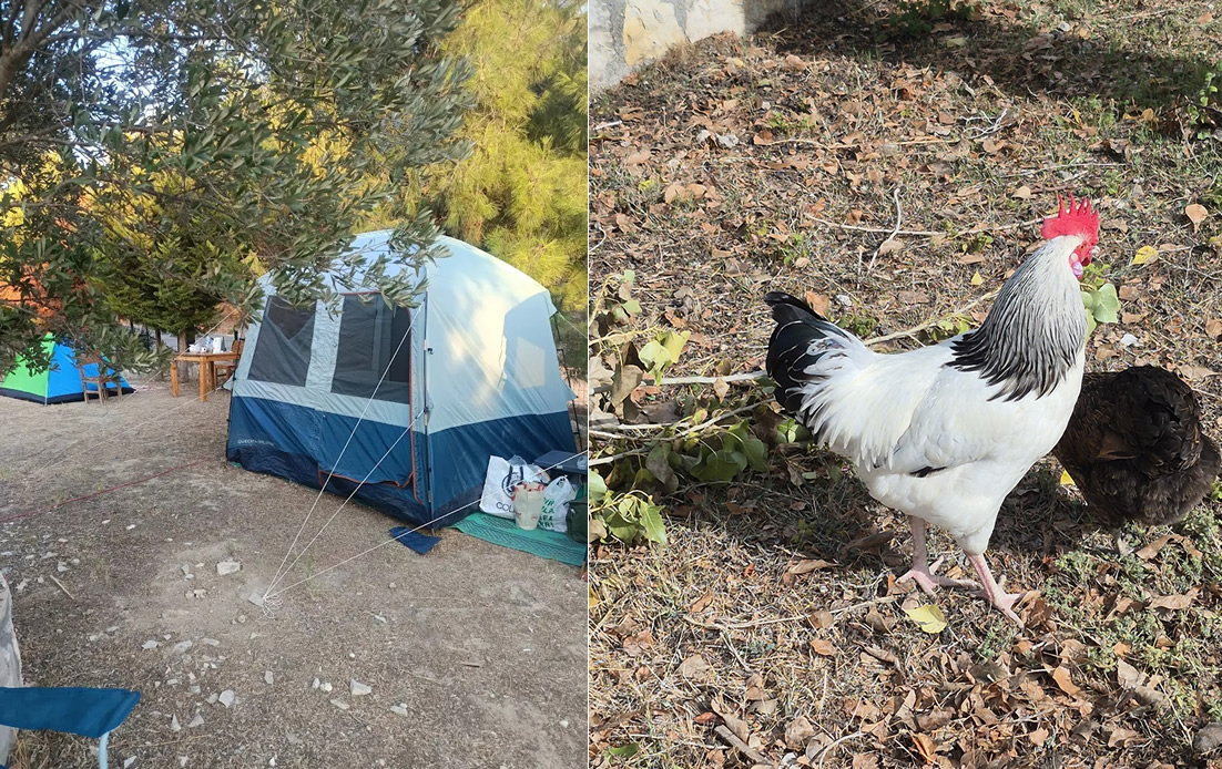 Urla-çadır-kampı