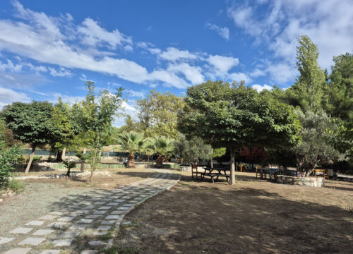 İzmir Tekne Park Alanı: Deniz Tutkunları İçin Gizli Bir Cennet Mi?