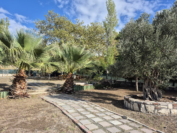 izmir urla deniz kenarı park