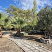 urla tekne park fiyatı