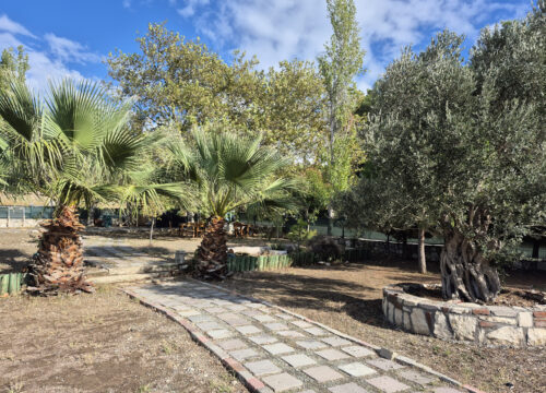 Urla Tekne Park Fiyatları Neden Değişiyor?