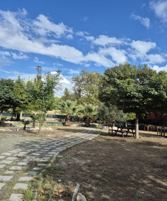 İzmir Kamp Alanı Fiyatları Nedir? En Uygun Seçenekler Hangi Bölgededir?