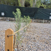 izmir_karavan_park_fiyatları2